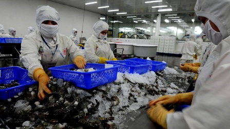 Protesta Vietnam injusta imposición por Estados Unidos de gravámenes a camarón congelado